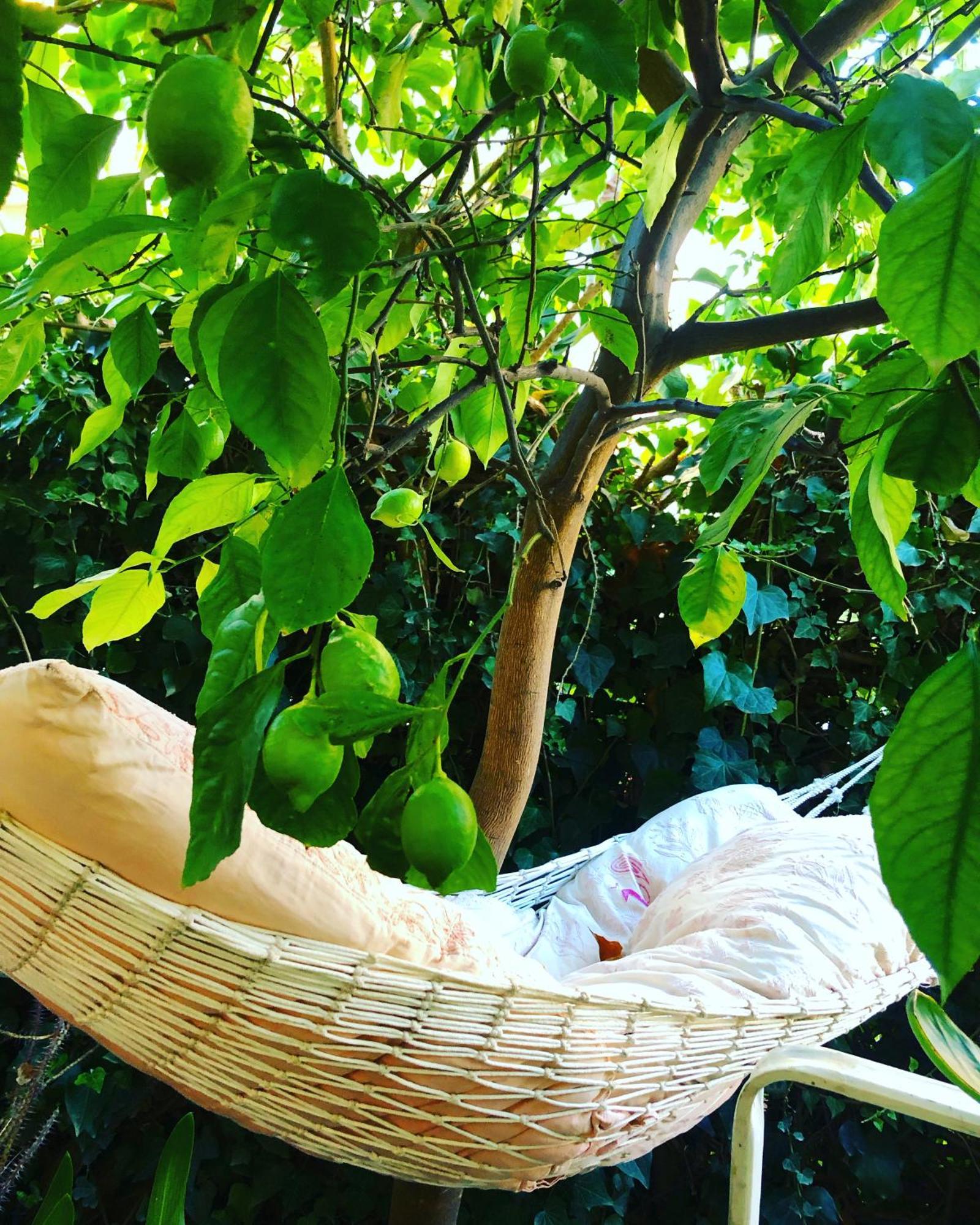 Penelope B&B Palermo Luaran gambar