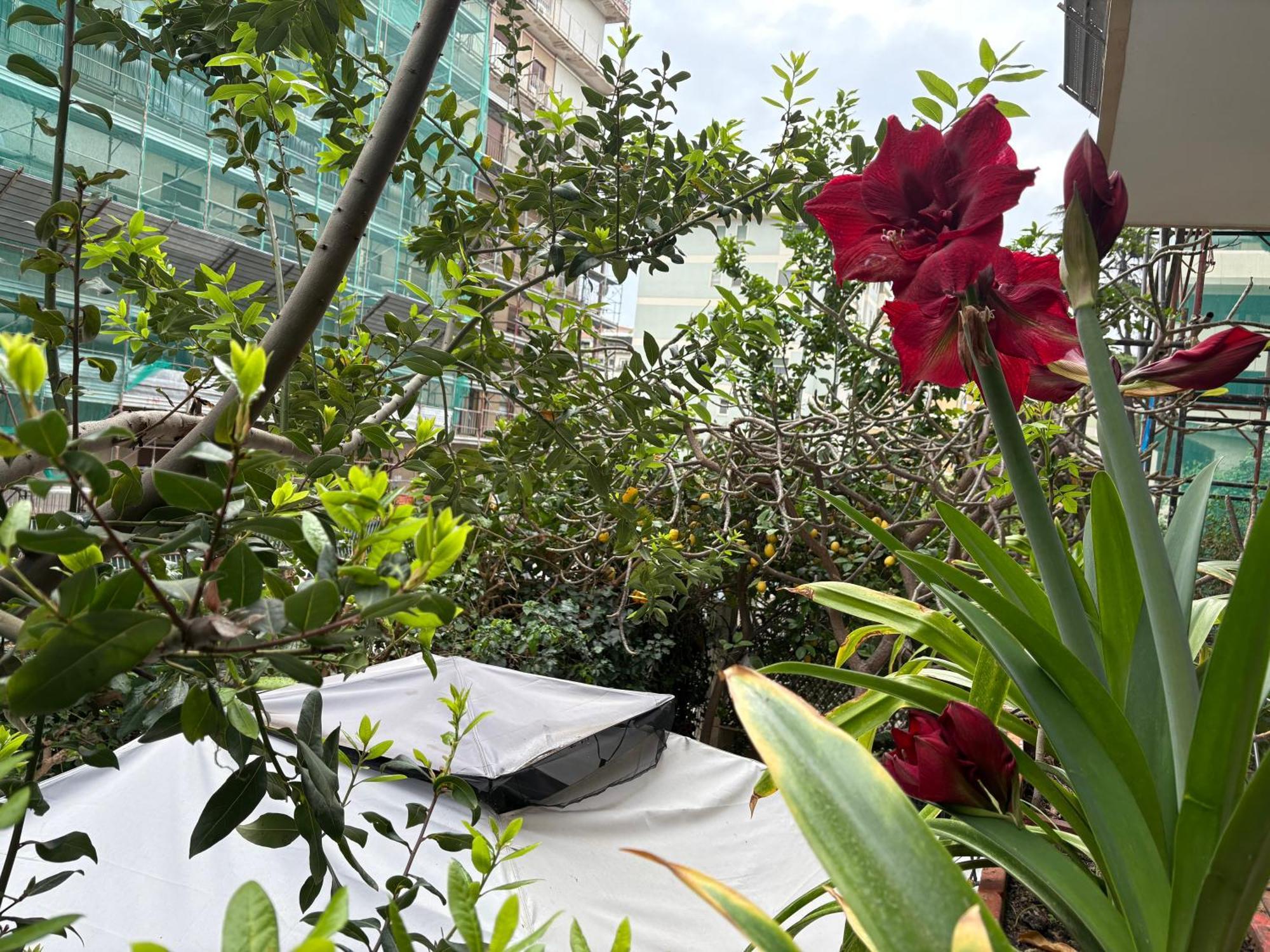 Penelope B&B Palermo Luaran gambar