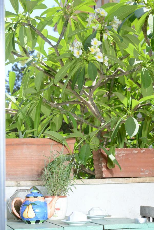 Penelope B&B Palermo Luaran gambar